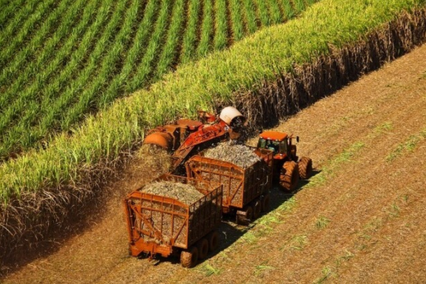 M&aacute;quina opera na colheita da cana cultivada em usina (Foto: Divulga&ccedil;&atilde;o/CTC)