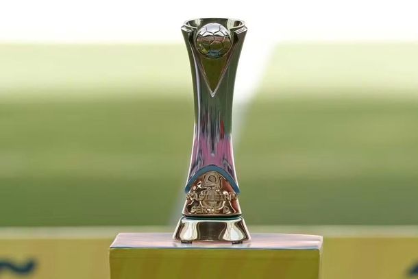 Trof&eacute;u da S&eacute;rie D do Campeonato Brasileiro (Foto: Rafael Ribeiro/CBF)