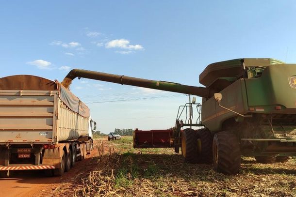 Colheita do gr&atilde;o deve come&ccedil;ar ainda no fim deste m&ecirc;s em Mato Grosso do Sul (Foto: Divulga&ccedil;&atilde;o/Aprosoja)