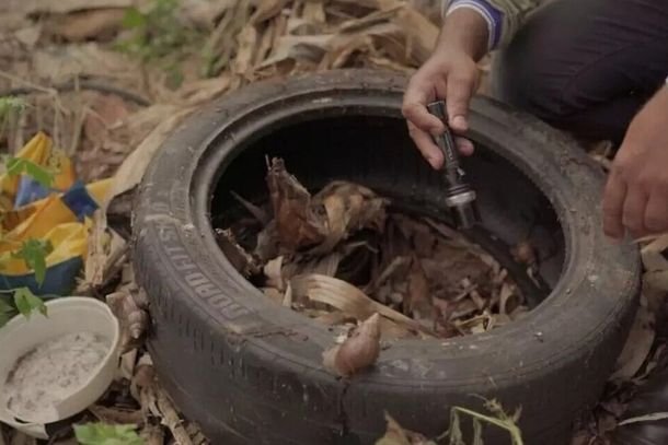 Agente de sa&uacute;de inspeciona focos de dengue em pneu. (Foto: Divulga&ccedil;&atilde;o)