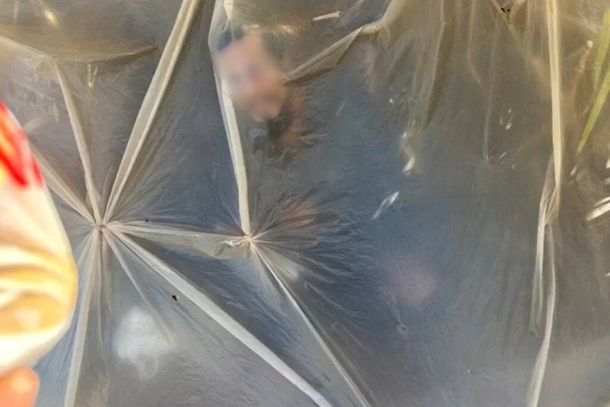 Homem vivendo dentro de saco pl&aacute;stico &agrave;s margens da BR-163 (Foto: Alvorada Informa)