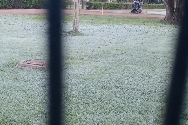 Geada na manh&atilde; desta quinta-feira (25), na Fazenda Campan&aacute;rio