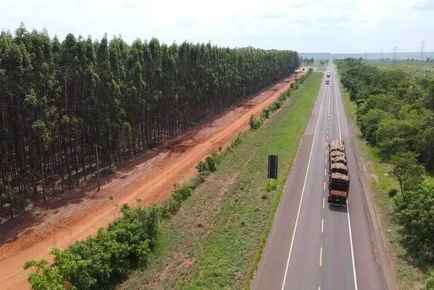Trecho da BR-262, que faz parte da Rota da Celulose (Foto: Saul Schramm)