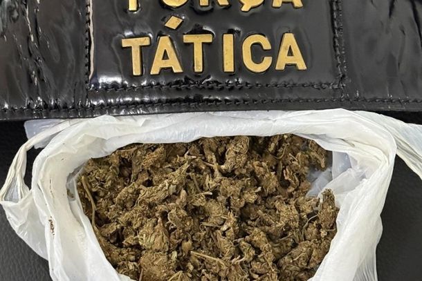 Droga apreendida pela For&ccedil;a T&aacute;tica de Caarap&oacute;