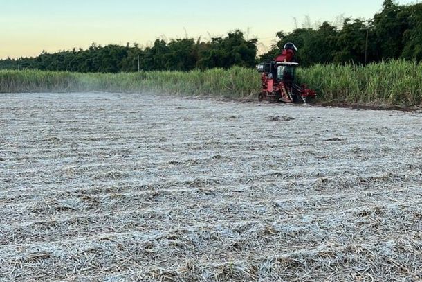 Geada na Fazenda Campan&aacute;rio nesta quarta-feira (24)