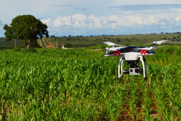 Drone voando baixo sobre uma &aacute;rea agr&iacute;cola em Mato Grosso do Sul (Foto: Jo&atilde;o Carlos Castro/Famasul)