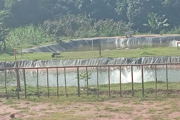 Tanque de peixes j&aacute; em funcionamento no Revivi