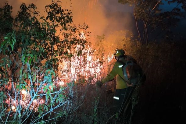 Brigadista do Prevfogo durante a&ccedil;&atilde;o de combate &agrave;s chamas no Pantanal (Foto: divulga&ccedil;&atilde;o)