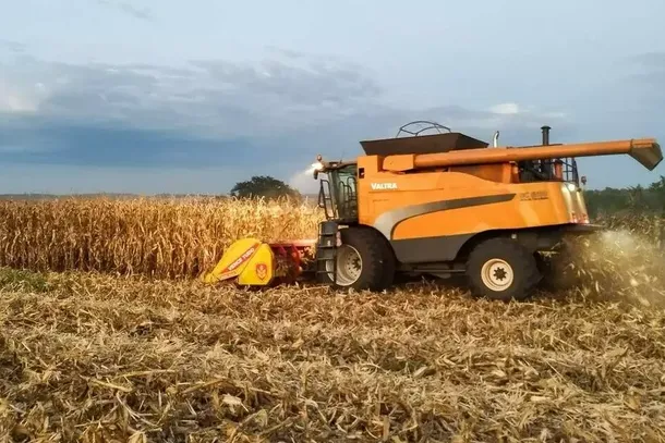 Colheitadeira avan&ccedil;a sobre planta&ccedil;&atilde;o de milho no munic&iacute;pio de Terenos. (Foto: Arquivo/Campo Grande News)
