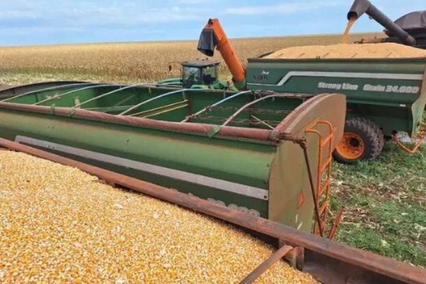 M&aacute;quinas colheitadeiras de milho em uma lavoura de MS (Foto: Aprosoja)