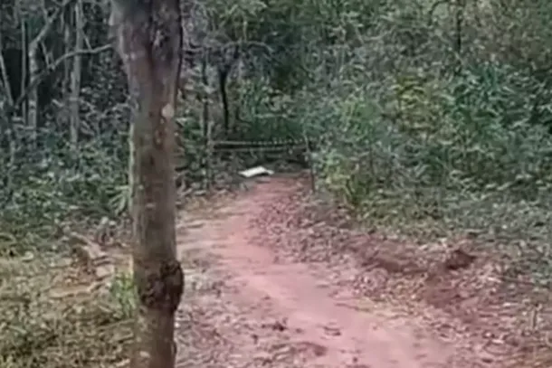 &Aacute;rea do bosque municipal de Itaquira&iacute; isolada para trabalho da per&iacute;cia (Foto: Reprodu&ccedil;&atilde;o/Maranata Not&iacute;cias)