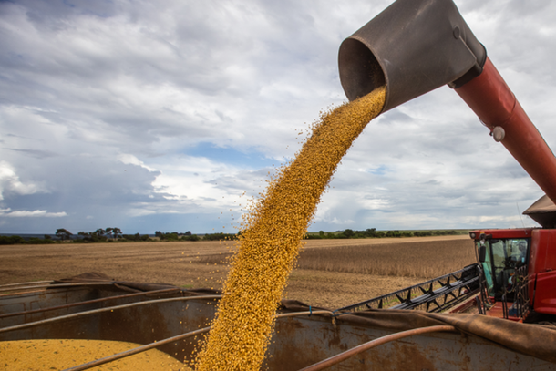 Colheitadeira descarrega soja em caminh&atilde;o em propriedade rural de MS; achatamento de pre&ccedil;o preocupa setor agr&iacute;cola. (Foto: Arquivo/Aprosoja)