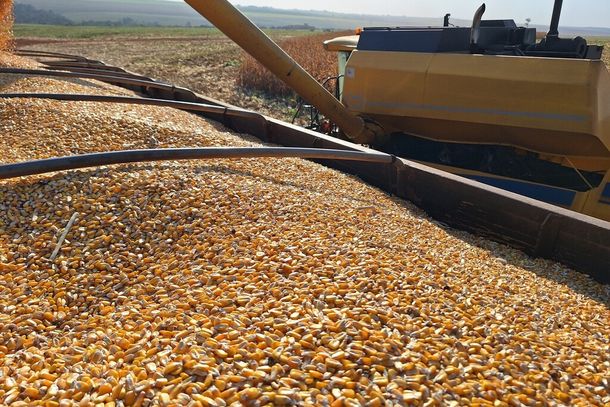 M&aacute;quina colhe milho plantado na 2&ordf; safra do gr&atilde;o de Mato Grosso do Sul (Foto: Aprosoja/MS)