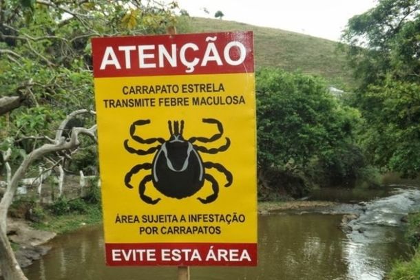 Imagem ilustrativa