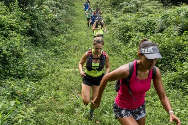 As pessoas podem fazer trilhar ou caminhar nos bosques na Fazenda Guaxinduva