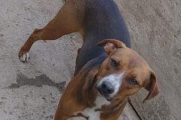 Kiara est&aacute; desaparecida desde domingo (6)