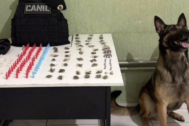     A&ccedil;&atilde;o com c&atilde;o farejador revela drogas escondidas em bueiro