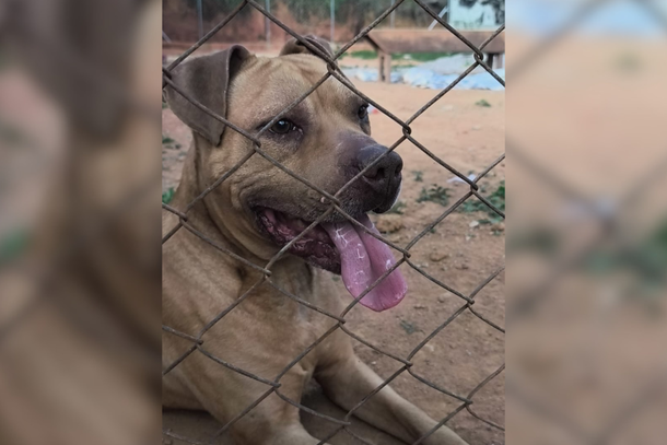 Alex supera abandono e agora busca uma fam&iacute;lia para chamar de sua