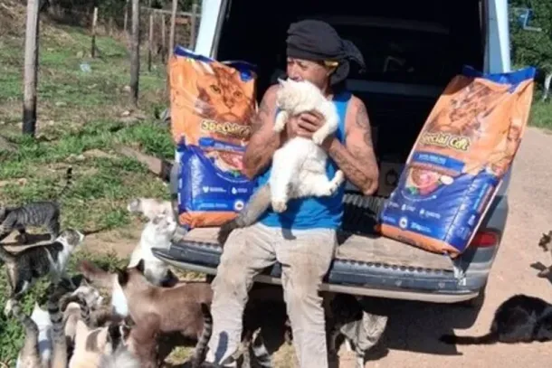 Morando em barraco com 160 gatos, Seu Luiz mobiliza corrente do bem em Cabre&uacute;va