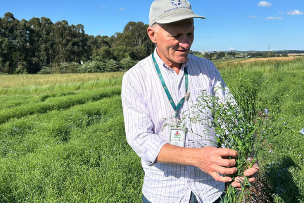 Pesquisador da Esta&ccedil;&atilde;o Experimental da Epagri de Campos Novos, Cirio Parizotto, trabalha no desenvolvimento de cultivar de linho dourado h&aacute; 14 anos (Foto: Divulga&ccedil;&atilde;o/Epagri)