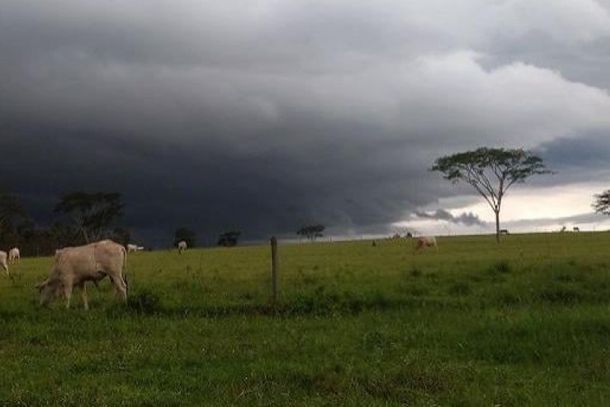 Foto: Divulga&ccedil;&atilde;o