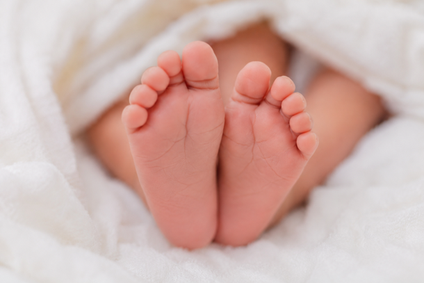Imagem ilustrativa ( Gerada por IA)