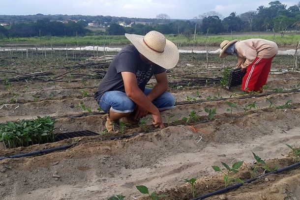 Agricultores prejudicados pela seca ou estiagem sofreram impacto na renda familiar e ter&atilde;o a disposi&ccedil;&atilde;o, cr&eacute;dito para financiamento de nova safra