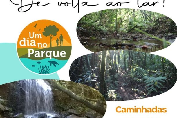 Domingo no Parque Nacional