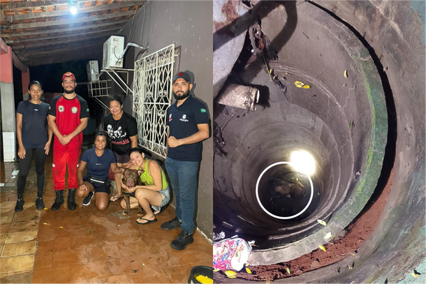 C&atilde;o &eacute; resgatado de dentro de po&ccedil;o