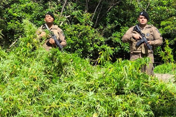 A apreens&atilde;o do material il&iacute;cito ocorreu nesta segunda