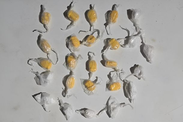 Por&ccedil;&otilde;es de coca&iacute;na e comprimidos de ectasy foram apreendidos