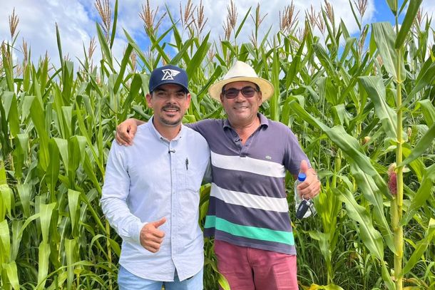 Vis&atilde;o e planejamento garantem boa safra de milho em Conde