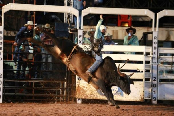 As estrelas da festa v&ecirc;m da Associa&ccedil;&atilde;o dos Campe&otilde;es de Rodeio (ACR), na modalidade touros, e da Sele&ccedil;&atilde;o Brasileira do Cutiano, nos cavalos