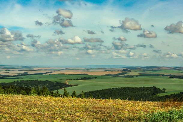 Boletim do IDR-Paran&aacute; analisa chuvas em junho e o reflexo na produ&ccedil;&atilde;o agr&iacute;cola