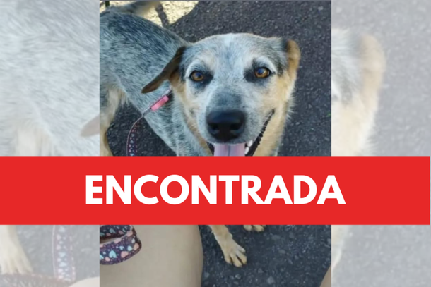 A Cristal foi encontrada nas proximidades de sua casa.