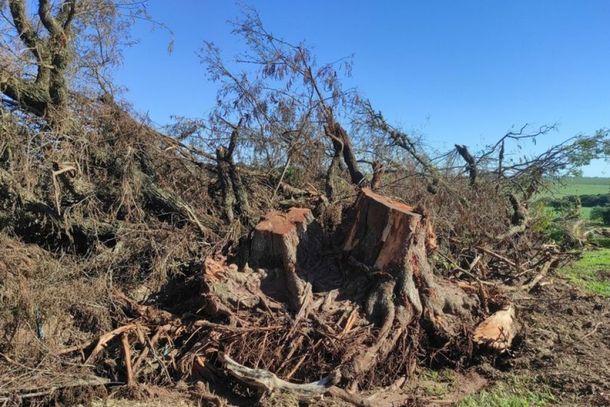 Drone da PM Ambiental auxiliou na identifica&ccedil;&atilde;o de corte irregular de &aacute;rvores nativas em propriedade rural de Goioer&ecirc;.