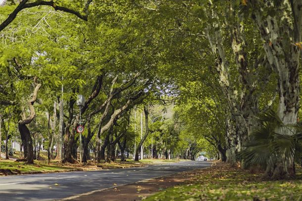&ldquo;Domingo na Rua&rdquo; &eacute; suspenso no dia da elei&ccedil;&atilde;o e Avenida Paran&aacute; ficar&aacute; liberada