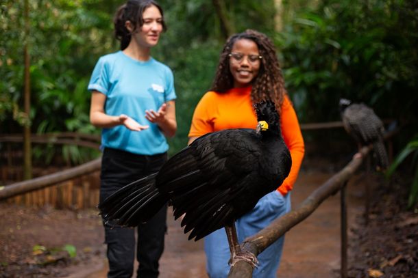 Parque das Aves ter&aacute; entrada gratuita para moradores durante todo o m&ecirc;s de outubro
