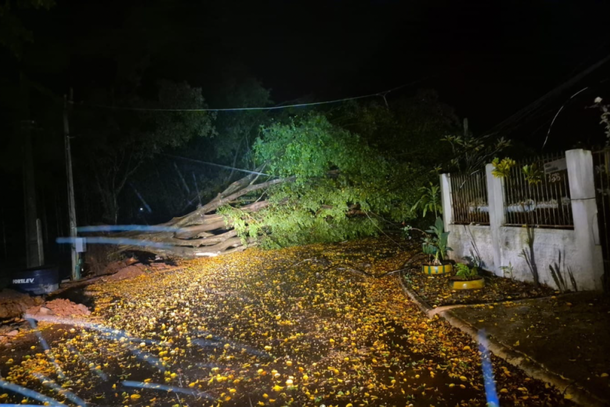  Temporal derruba &aacute;rvores, quebra postes e deixa fam&iacute;lia fora de casa em Foz do Igua&ccedil;u 