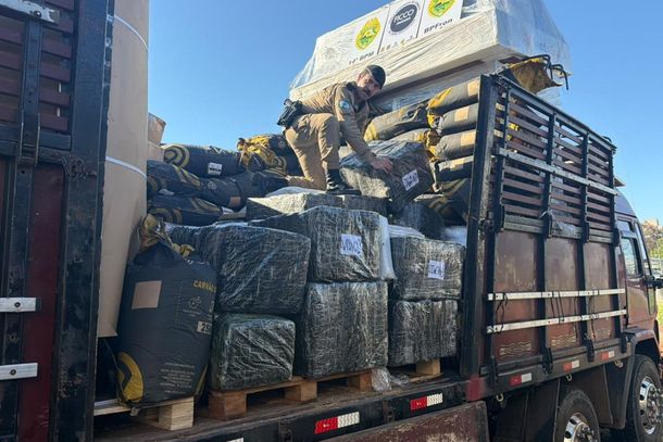 Em dez anos, apreens&atilde;o de maconha mais que triplica na regi&atilde;o de Foz do Igua&ccedil;u