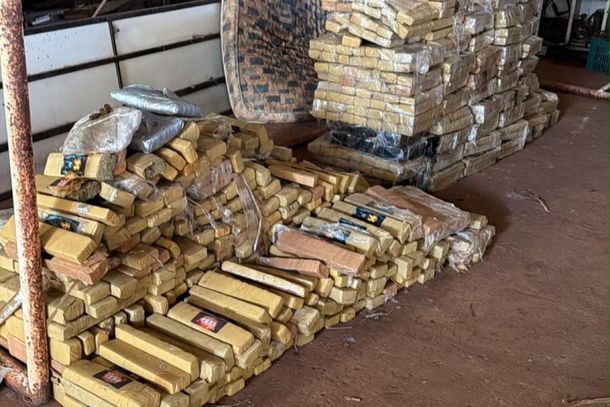 Em dez anos, apreens&atilde;o de maconha mais que triplica na regi&atilde;o de Foz do Igua&ccedil;u
