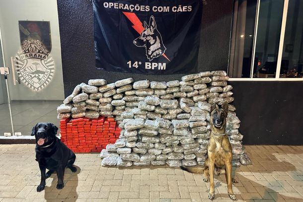 Em dez anos, apreens&atilde;o de maconha mais que triplica na regi&atilde;o de Foz do Igua&ccedil;u
