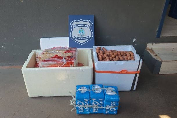 Caixas de isopor escondiam 33,4 kg de drogas localizadas pela Guarda Municipal