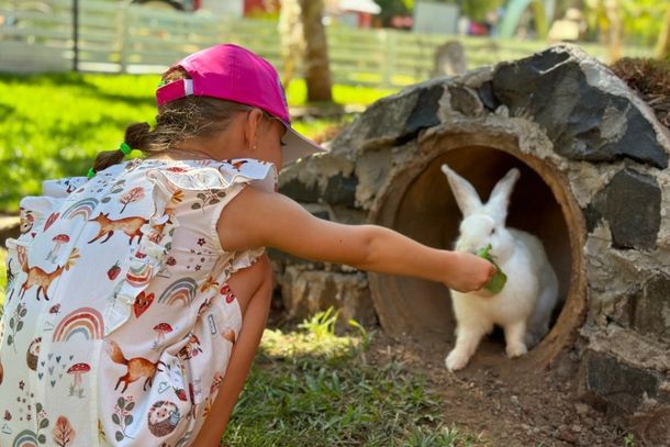 Dia das Crian&ccedil;as ter&aacute; concurso de fantasias, gincana e atividades no Zoo Park