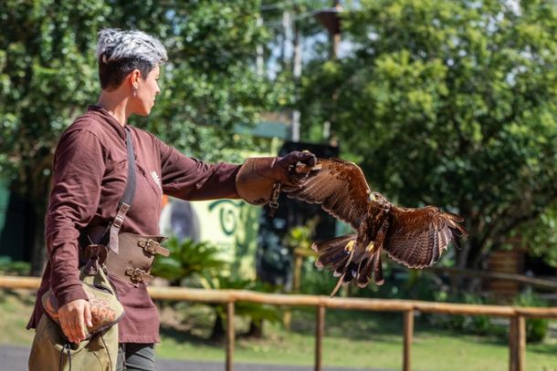 Feriad&atilde;o ter&aacute; bar de gelo, dinossauros, shows e aventuras no Dreams Park Show