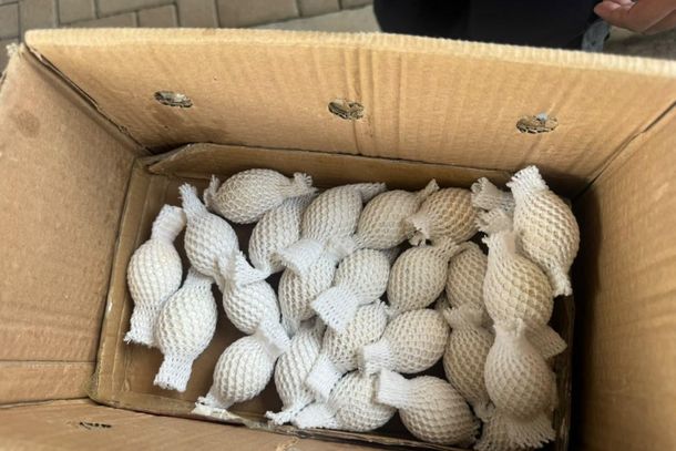Ovos de aves que podem valer at&eacute; R$ 10 milh&otilde;es s&atilde;o apreendidos em &ocirc;nibus