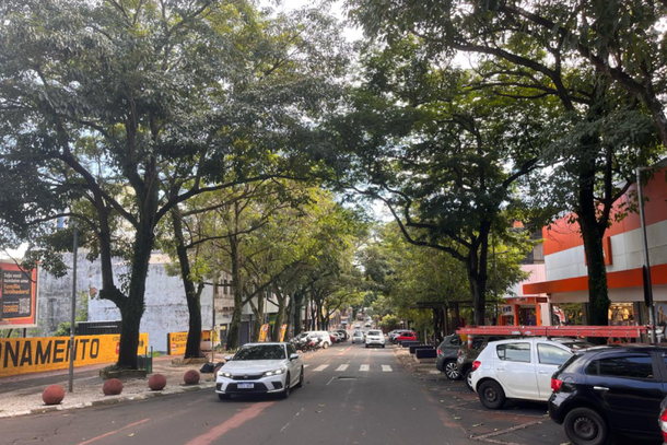 Poda de &aacute;rvores vai alterar tr&acirc;nsito e estacionamento na Avenida Brasil por 20 dias