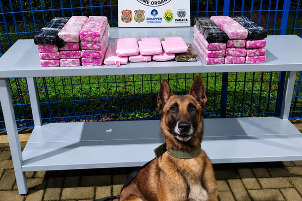 Pol&iacute;cia apreende quase 24 kg de drogas e centenas de encomendas com emagrecedores