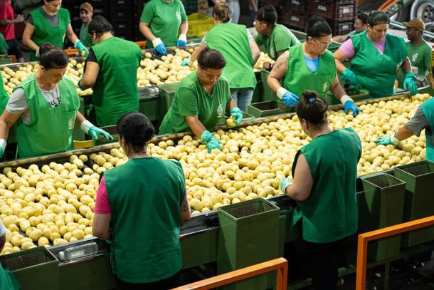 Grupo Belebas &eacute; associado da Sicredi Pioneira e utilizou recursos do Plano Safra em sua produ&ccedil;&atilde;o.