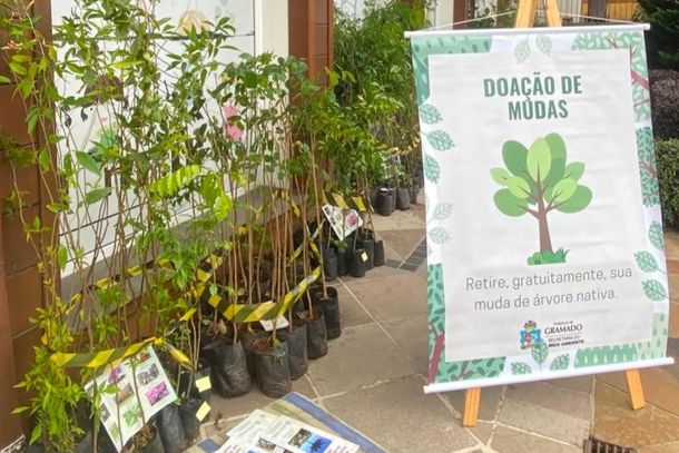 Projeto "Escola: Ponto Verde" j&aacute; destinou mais de 2.500 mudas nas escolas de Gramado